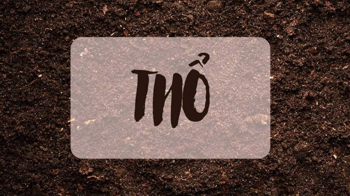 Tính cách người sinh năm 1976