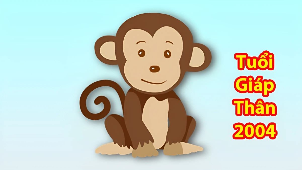 Sinh năm 2004 hợp và không hợp với màu sắc nào?