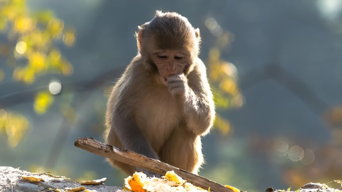 Một số câu hỏi được quan tâm