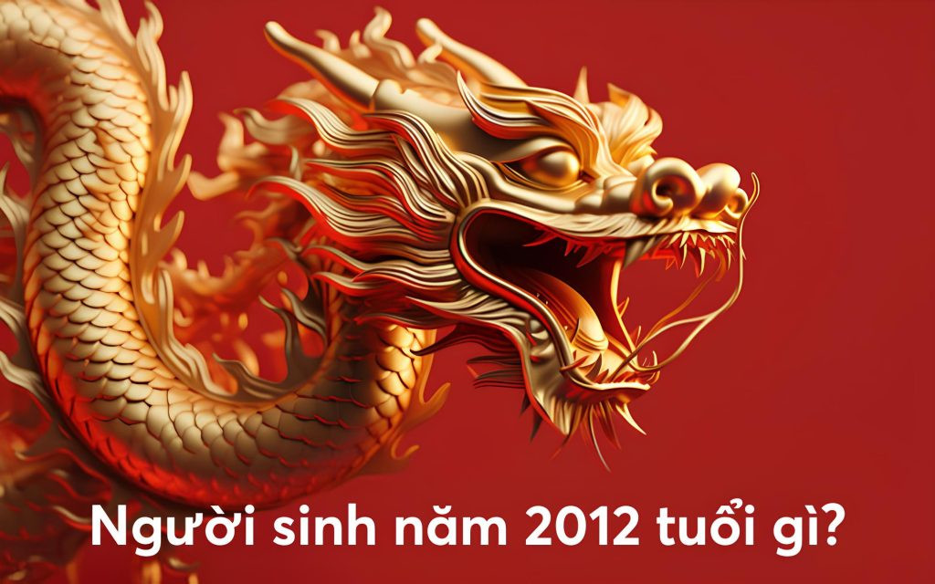 Người sinh năm 2012 thuộ tuổi gì?