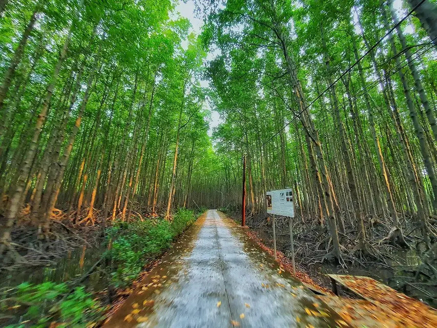 Không khí trong lành tại khu du lịch sinh thái Dần Xây