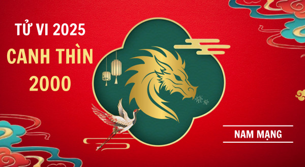 Biểu đồ lá số tử vi nam Canh Thìn 2000 năm 2025