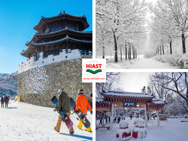 Cảnh tượng tuyết trắng phủ dày trong mùa đông lạnh giá ở Hàn Quốc