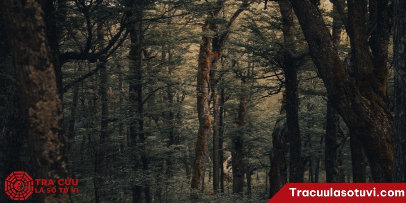 Sao Phá Quân là chính tinh chủ về sự tàn phá thô bạo, nhẫn tâm