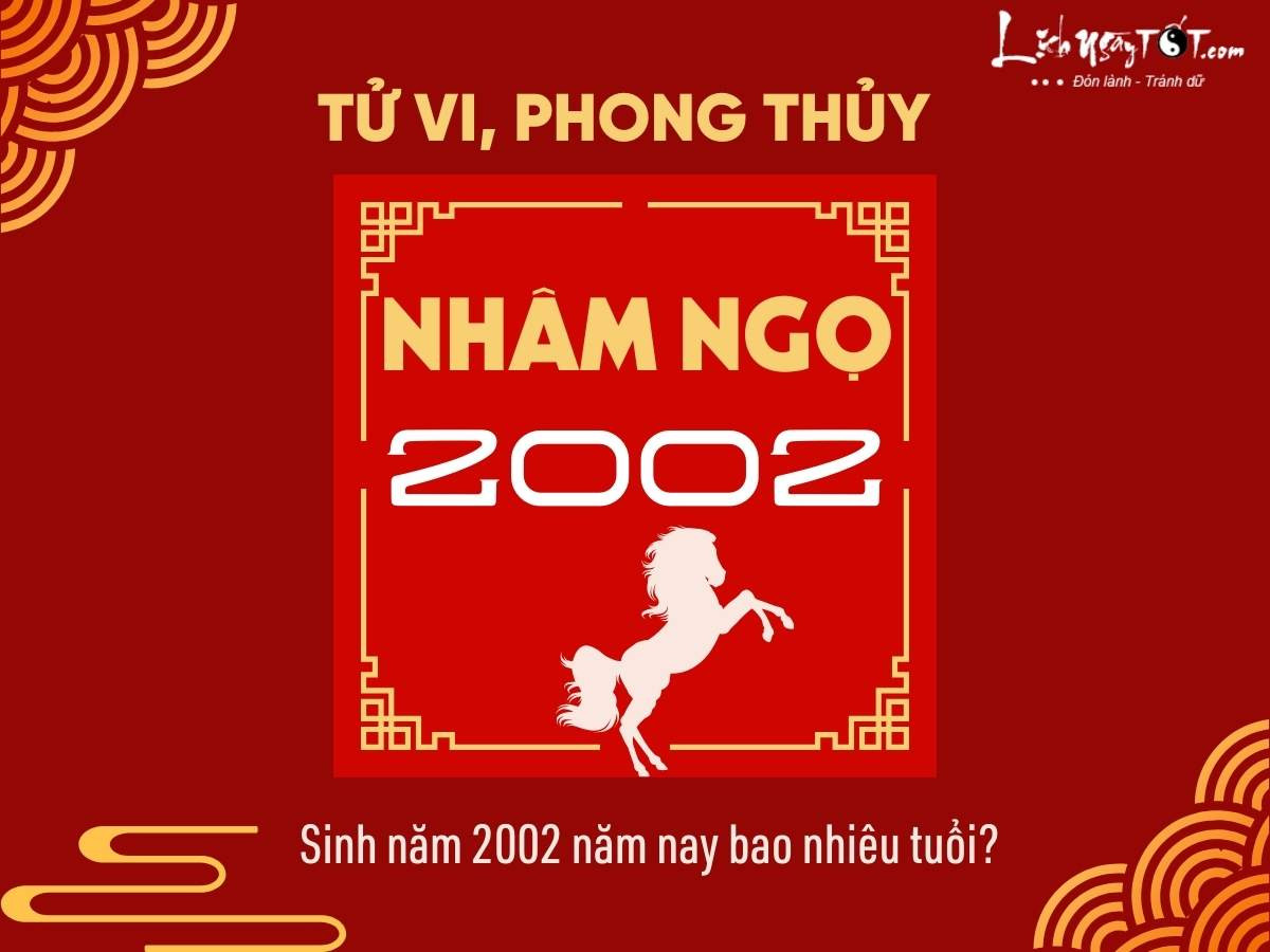 Hình minh họa về người sinh năm 2002 và tuổi của họ