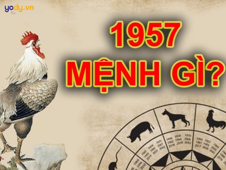 Chân dung người tuổi Đinh Dậu 1957 mang vẻ ngoài trầm tĩnh và bên trong sôi nổi