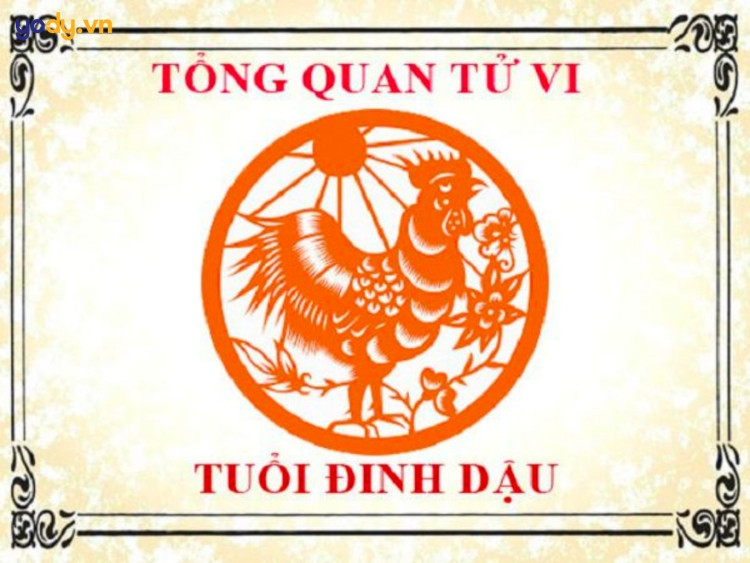 Luận giải tử vi tuổi Đinh Dậu 1957 cho thấy năm 2024 là một năm bình yên