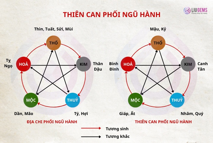 Thiên Can phối Ngũ Hành