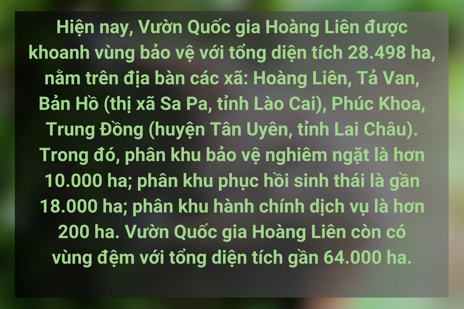 Cây thuốc quý hiếm tại Vườn Quốc gia Hoàng Liên