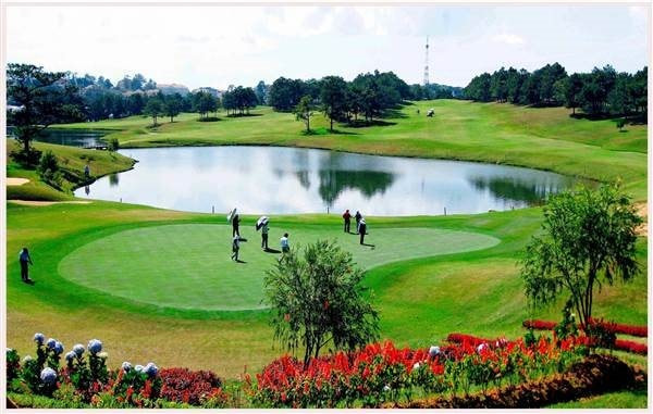 Sân golf Đà Lạt giữa khung cảnh thiên nhiên đồi thông tuyệt đẹp