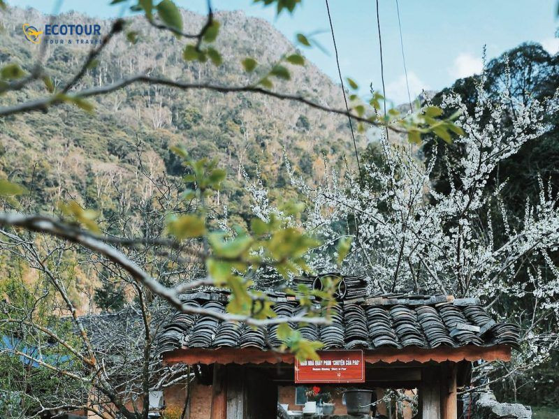 Cảnh sương mù và núi đá hùng vĩ vào sáng sớm ở Hà Giang tháng 11