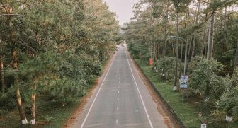 Thiên nhiên trong lành tại rừng thông Măng Đen