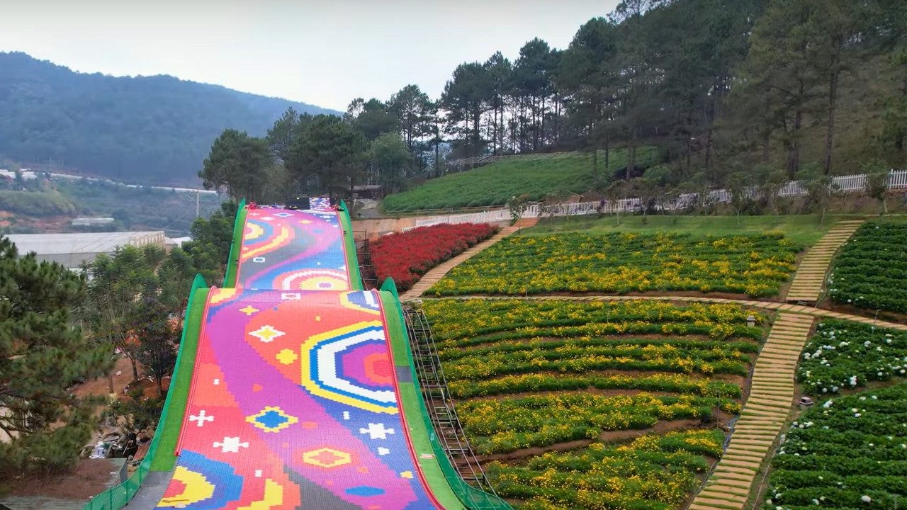 Toàn cảnh máng trượt phao khô với đồi thông bao quanh tại Puppy Farm