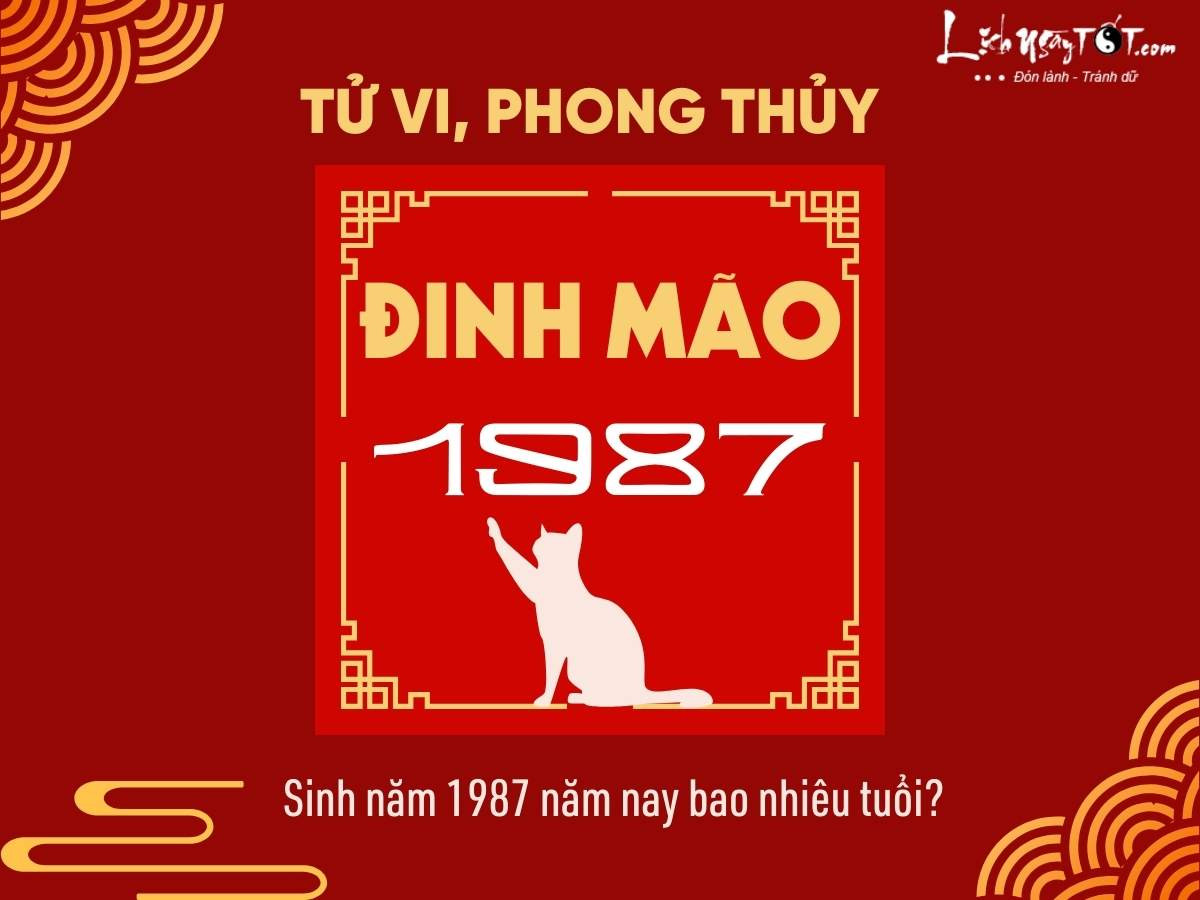 Sinh nam 1987 nam nay bao nhieu tuoi?