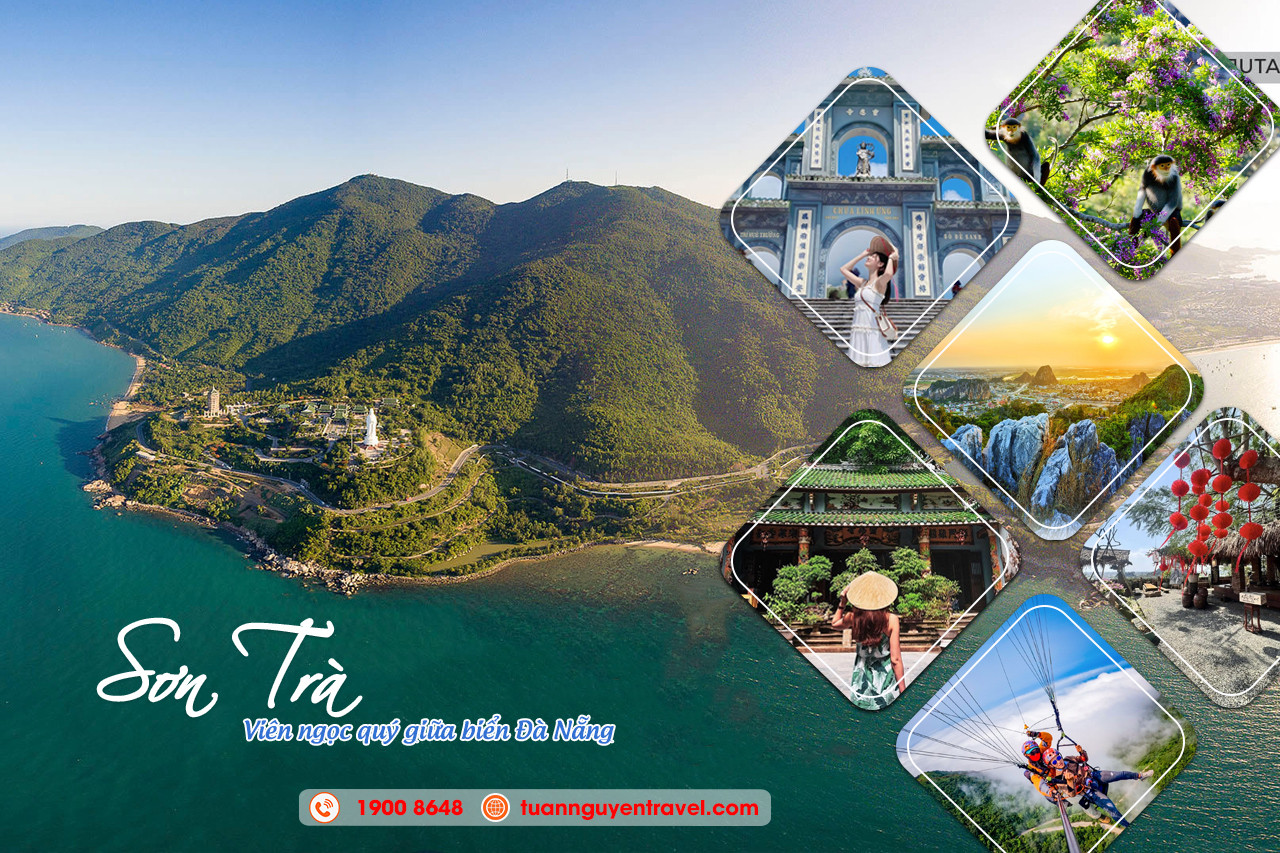 Khám phá Sơn Trà – viên ngọc quý giữa biển Đà Nẵng