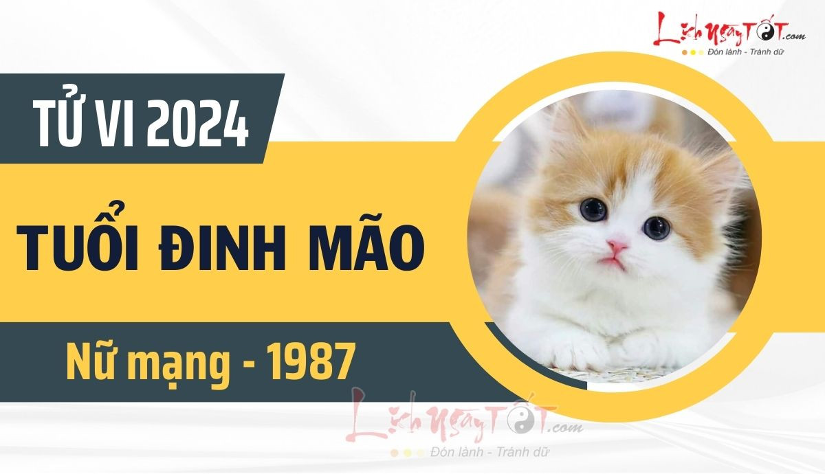 Tu vi 2024 tuoi Dinh Mao nu mang