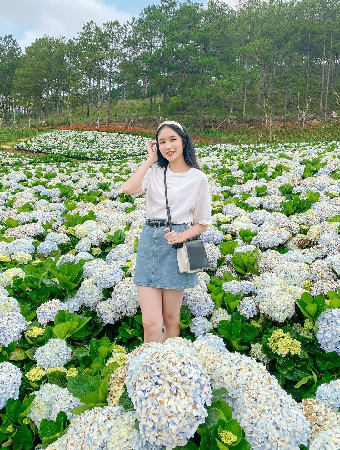 Cánh đồng hoa Lavender tím rực rỡ tại khuôn viên nông trại