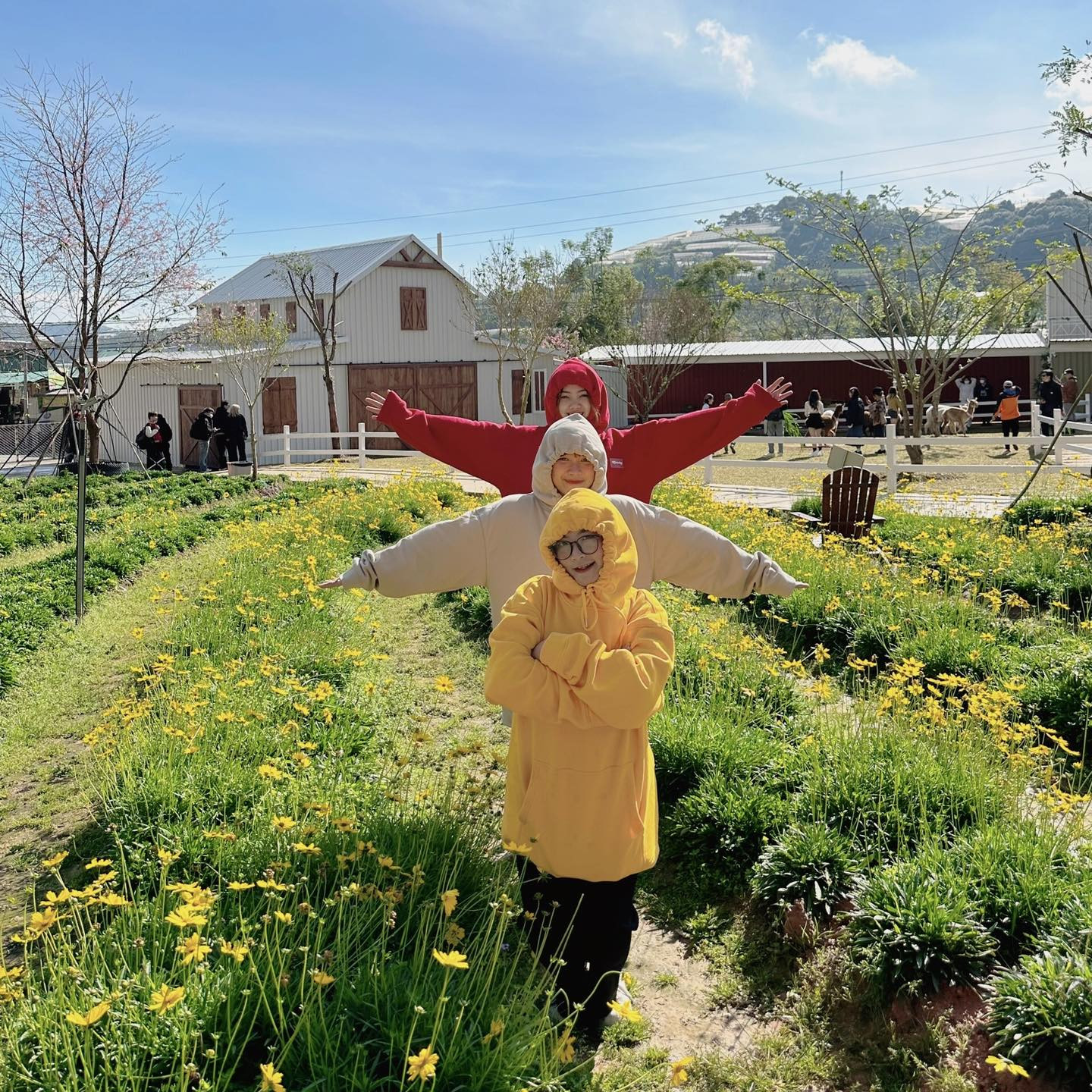 Khu vực trồng hoa đa dạng sắc màu tại Puppy Farm Đà Lạt