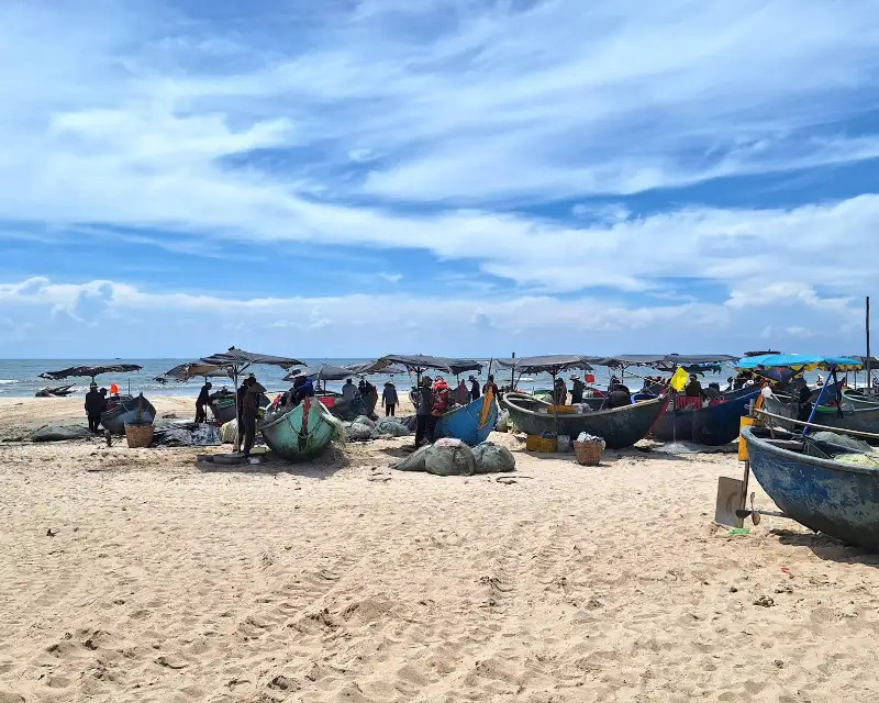 Khung cảnh đời sống ngư dân tại chợ Hồ Tràm Vũng Tàu