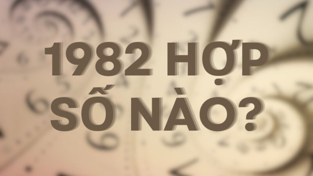 Sinh năm 1982 mệnh gì và con số hợp