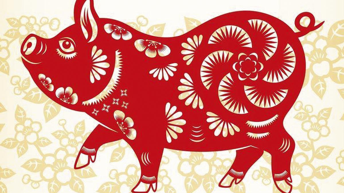 Sự khác biệt về cung mệnh giữa nam và nữ 1983: Nam cung Cấn Thổ, Nữ cung Đoài Kim, đều thuộc Tây Tứ Mệnh