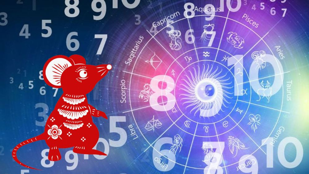 3, 4, 9 là những con số may mắn cho người tuổi Mậu Tý 2008