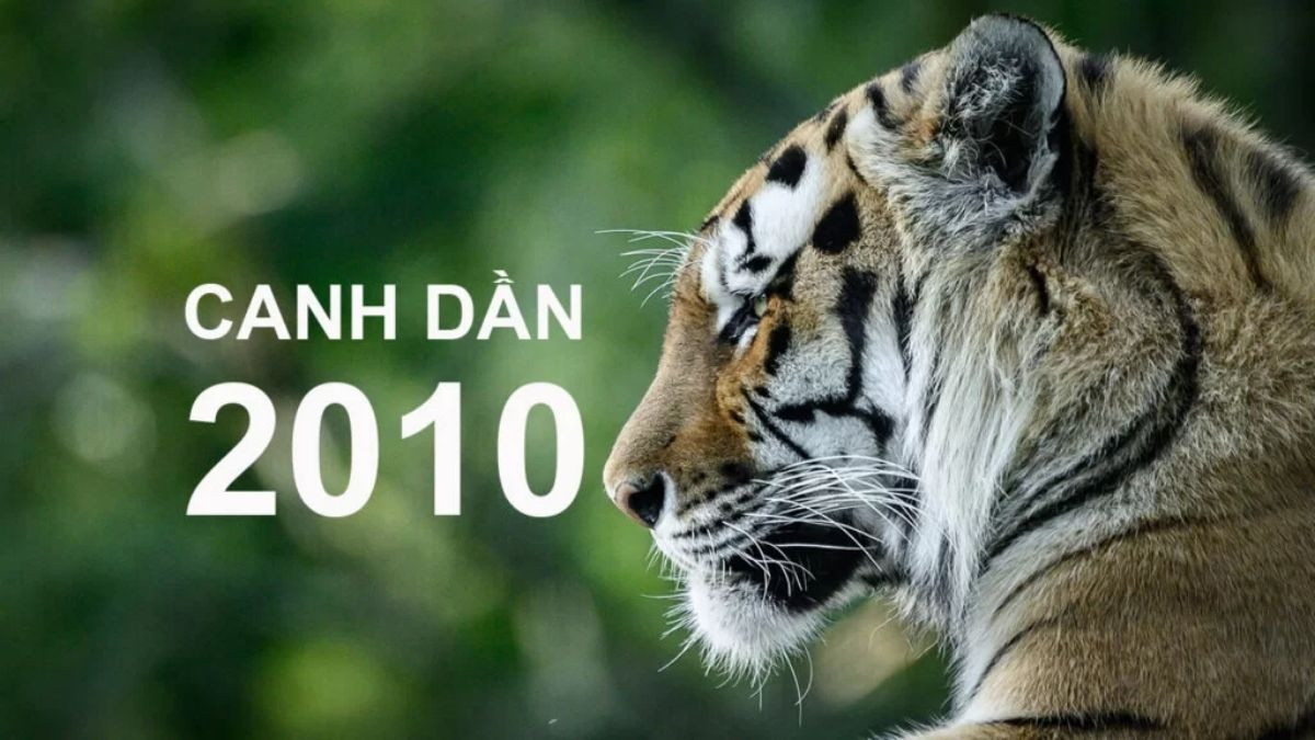 Năm 2010 tuổi Canh Dần cầm tinh con Hổ