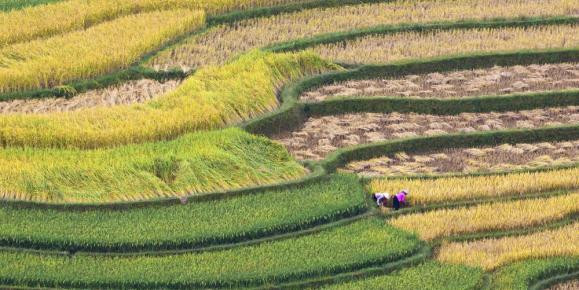 Vẻ đẹp hùng vĩ của Vịnh Hạ Long với những đảo đá vôi kỳ vĩ