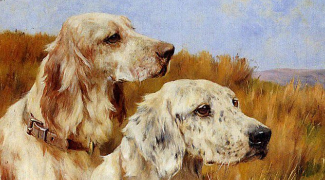 Người tuổi Nhâm Tuất 1982 với những đặc điểm của mệnh Đại Hải Thủy