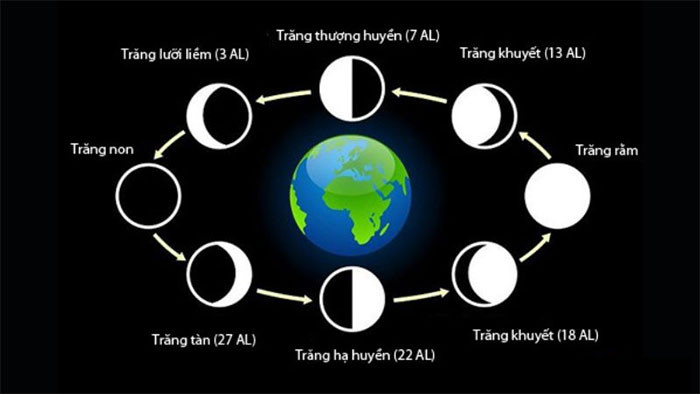 Chu kỳ của Mặt trăng.
