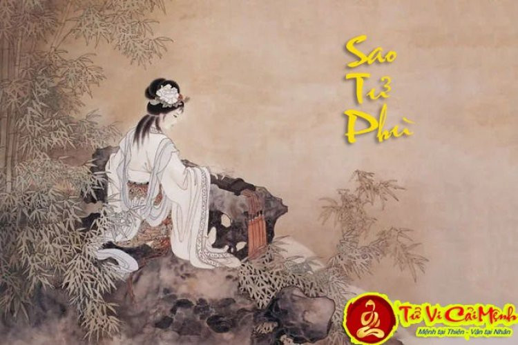 Cảnh một cuốn sách Tử Vi cổ điển đặt trên bàn với các dụng cụ liên quan