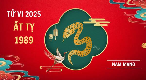 Lá số tử vi tổng quan nam Kỷ Tỵ 1989 năm 2025