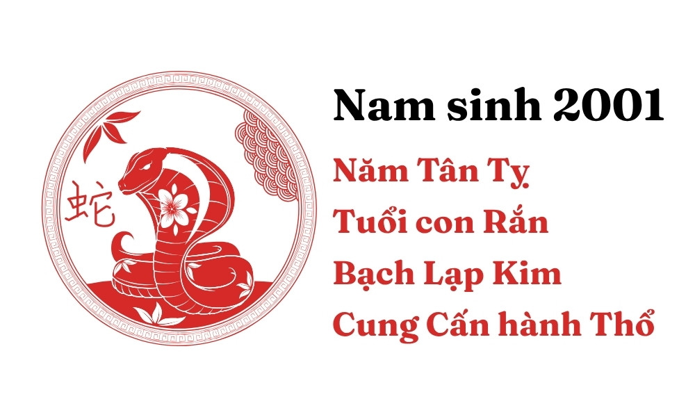 Người đàn ông sinh năm 2001 thể hiện sự cẩn trọng và sâu sắc trong tính cách