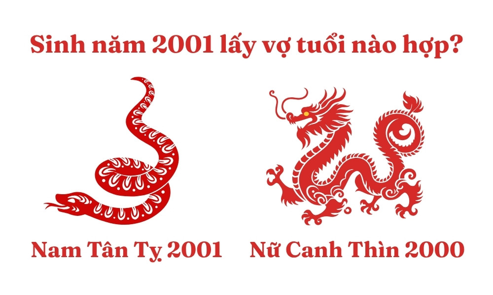 Cặp đôi nam Tân Tỵ 2001 và nữ Canh Thìn 2000 với sự đồng điệu