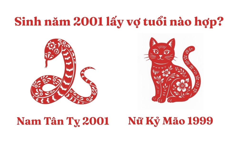 Cặp đôi nam Tân Tỵ 2001 và nữ Kỷ Mão 1999 thể hiện sự hòa hợp