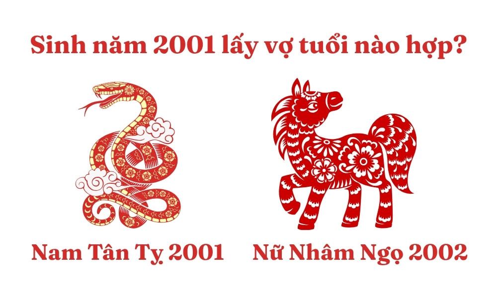 Cặp đôi nam Tân Tỵ 2001 và nữ Nhâm Ngọ 2002 đang cùng nhau tìm hiểu