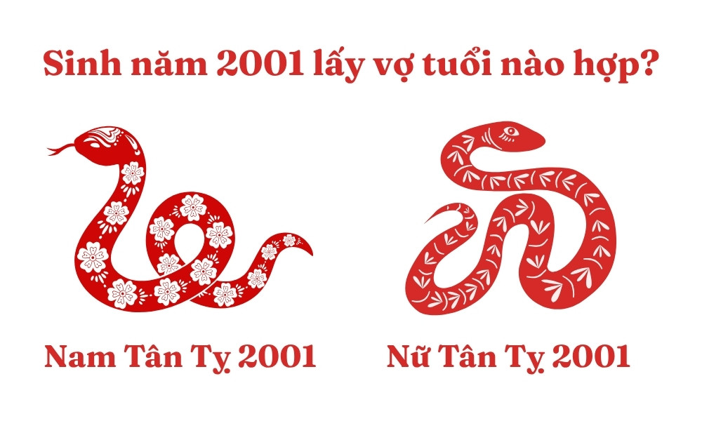 Cặp đôi nam Tân Tỵ 2001 và nữ Tân Tỵ 2001 thể hiện sự tương đồng