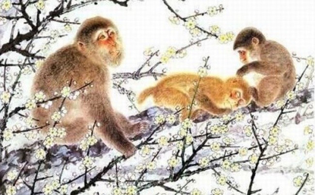 Nữ Ất Mão là tuổi khá tốt để kết hôn với nam tuổi 1980.