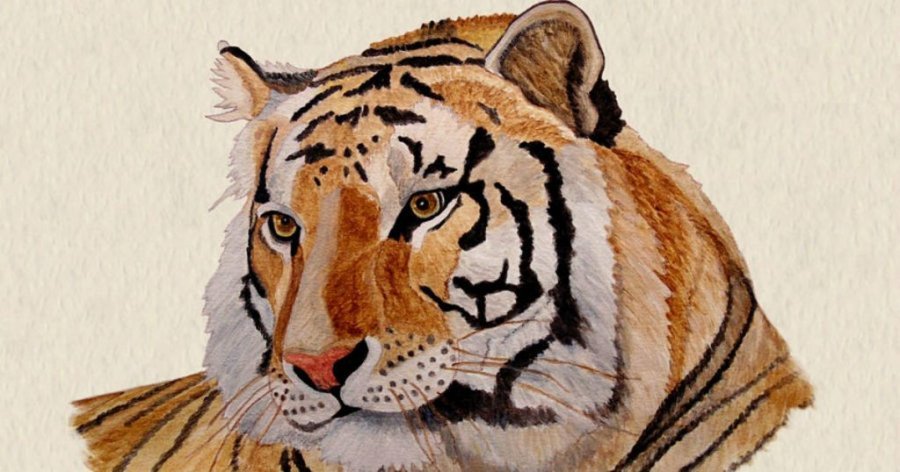 Cô dâu và chú rể trong ngày cưới, tượng trưng cho sự hợp tuổi trong hôn nhân