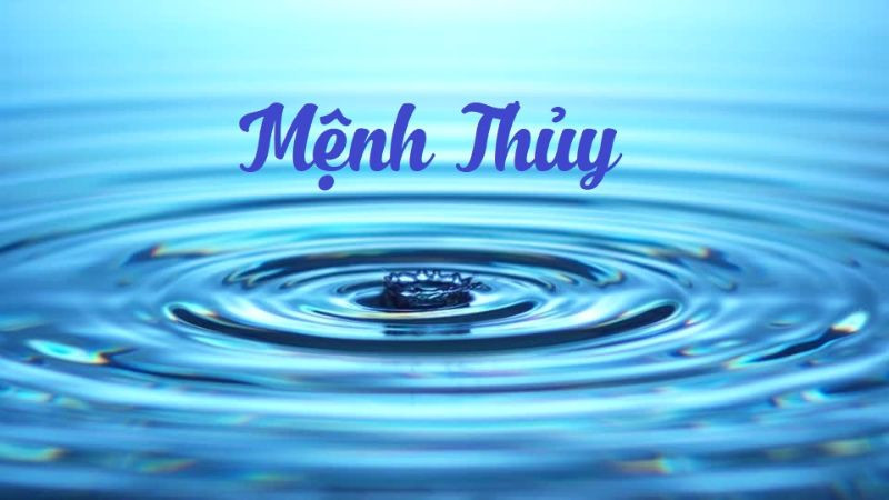 Nhâm Tuất sinh năm 1982 mệnh Thủy