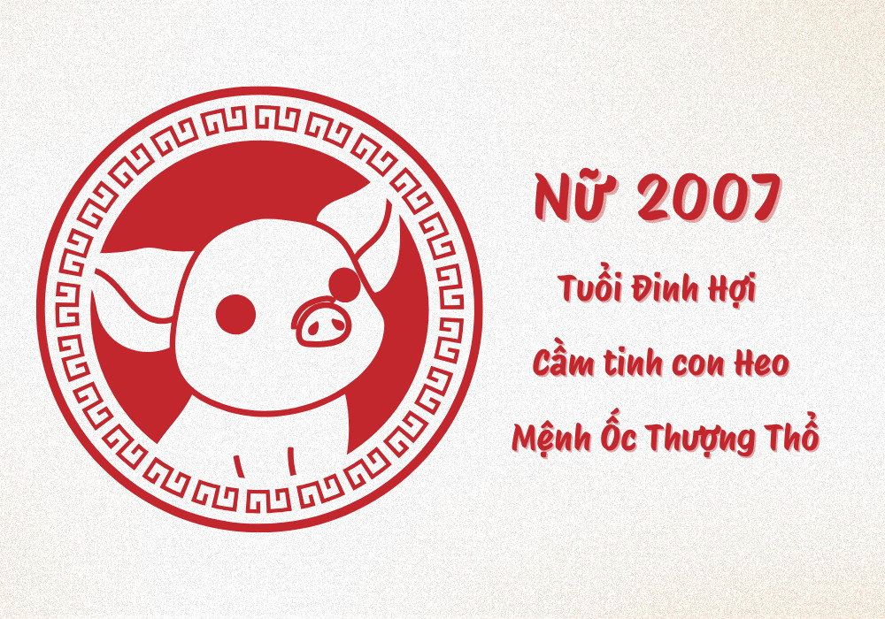 Nữ Đinh Hợi 2007 mệnh gì tuổi gì cung gì
