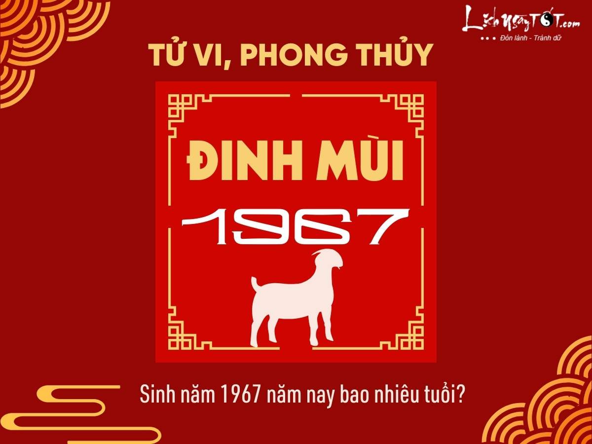 Minh họa người sinh năm 1967 ở độ tuổi trung niên