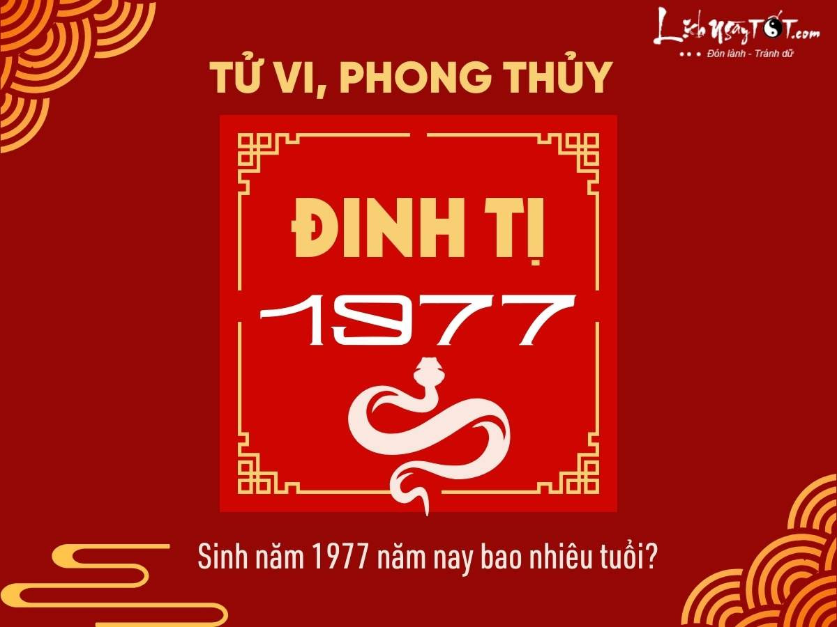 Bức ảnh minh họa người sinh năm 1977 và thông tin về tuổi âm dương trong năm 2024