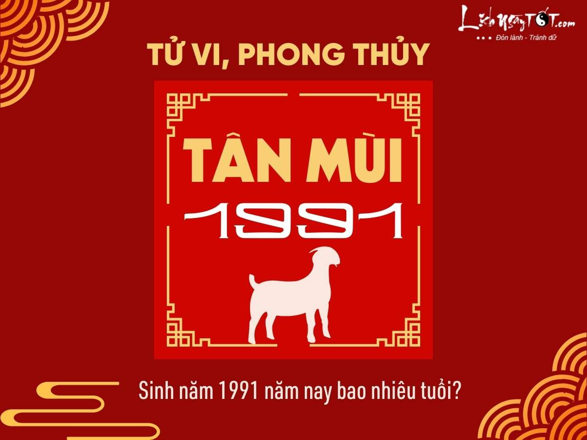 Người sinh năm 1991 Tân Mùi trong năm 2026 sẽ bước sang tuổi 35 dương lịch và 36 tuổi âm lịch.