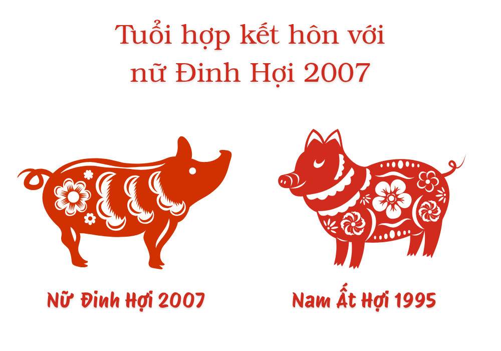 Nữ tuổi Đinh Hợi 2007 và Nam tuổi Ất Hợi 1995