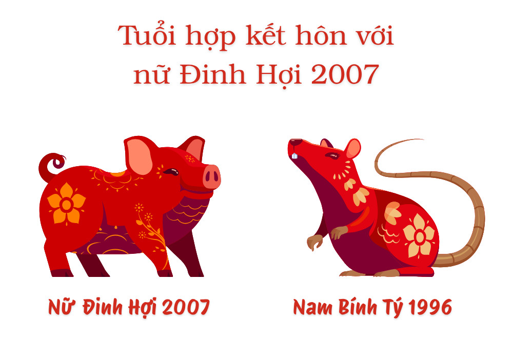 Nữ tuổi Đinh Hợi 2007 và Nam tuổi Bính Tý 1996