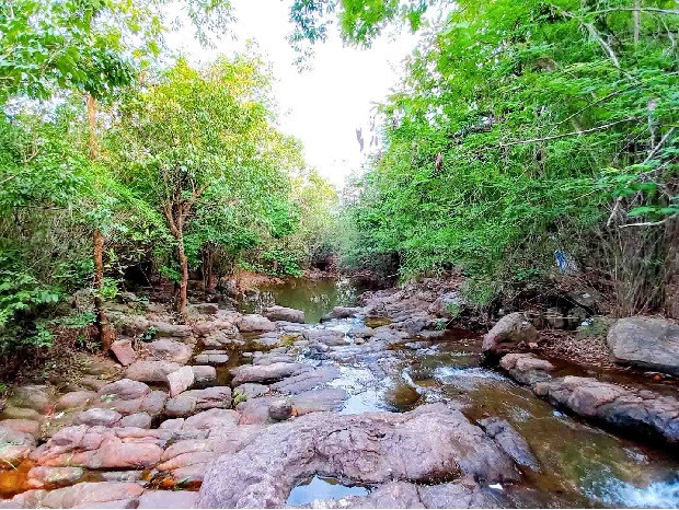 Tour du lịch hồ Dầu Tiếng - Suối Trúc