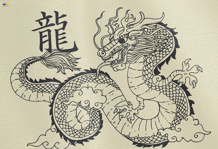 Tuổi Thìn lớn năm nay bao nhiêu tuổi