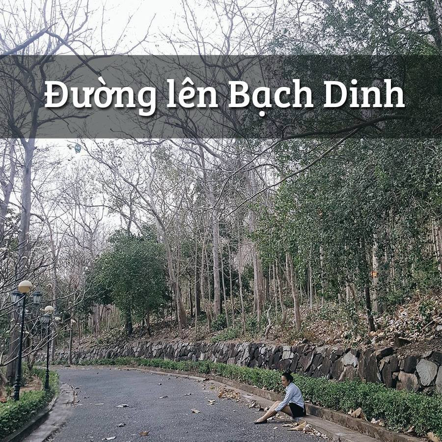 Con đường lên Bạch Dinh phủ bóng cây giá tỵ và hoa sứ thơm ngát