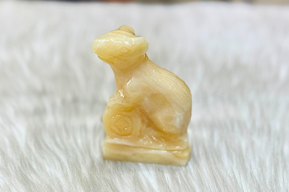 Người sinh năm 1948 tuổi con Chuột thuộc mệnh Hỏa